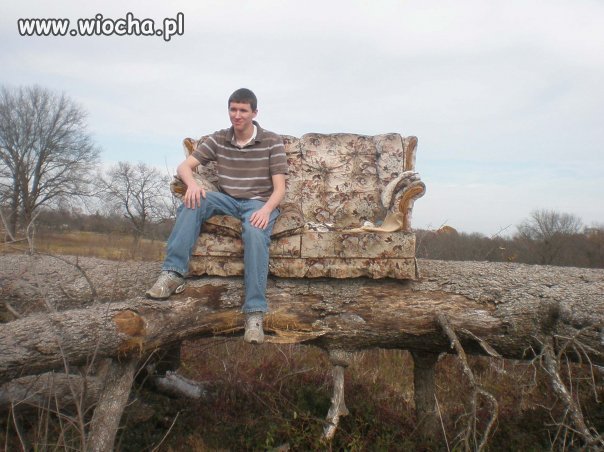 Sofka na drzewie
