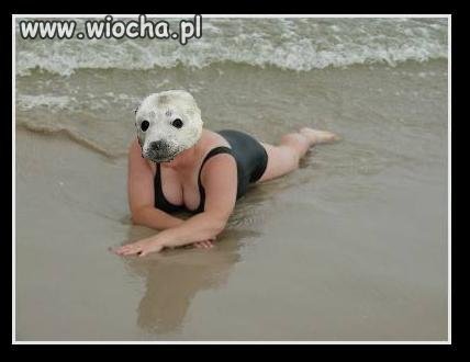 Hej foczko wpadłaś mi w oczko...