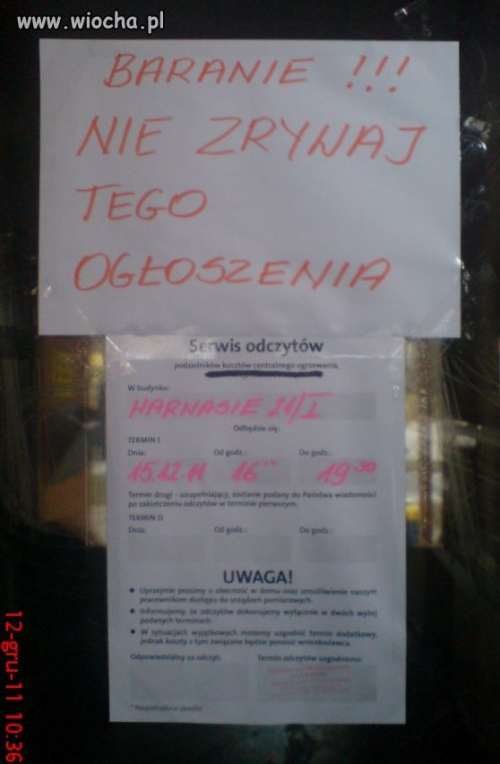 Barany miejcie się na baczności !!!