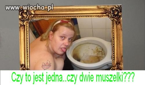 Muszelki 