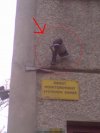 'OBIEKT MONITOROWANY'