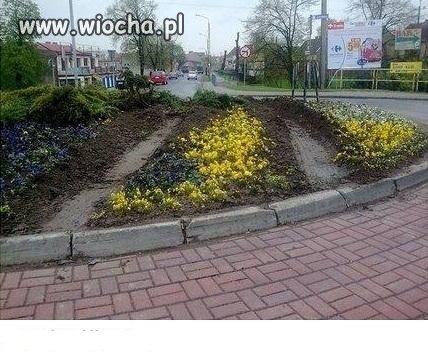 Na skróty