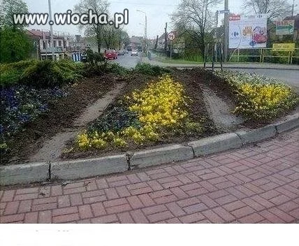 Na skróty