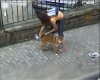Nietypowe zdjęcie z Google Street View 