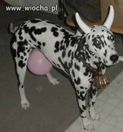 hehe.xd