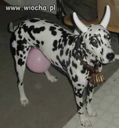 hehe.xd