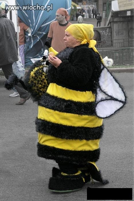Królowa pszczół 