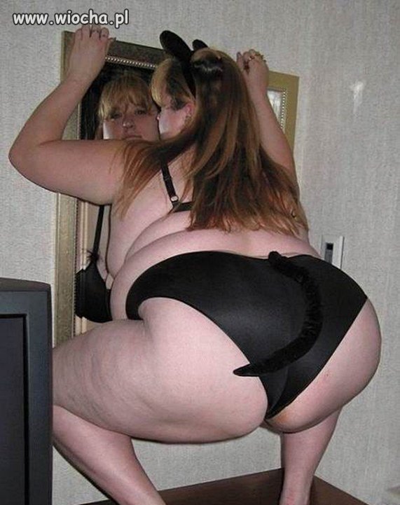 Myszka szuka 