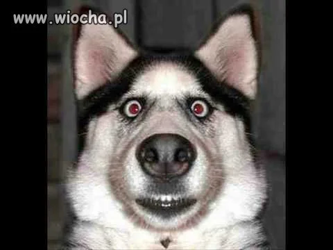 Taka masz mine kiedy...