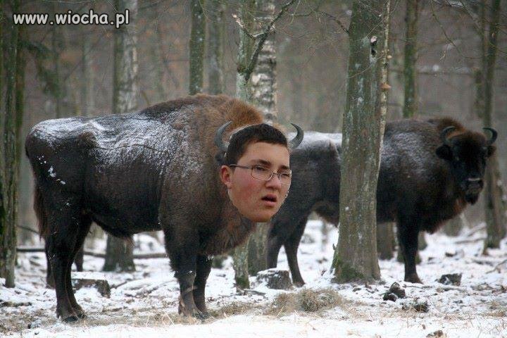 Mistrz Photoshopa