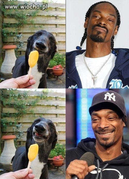 Jak dwie krople wody.