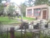 Sklep na wsi