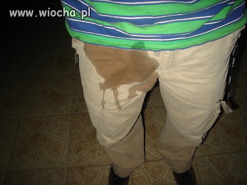 Wiocha na photoblogu