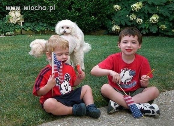 American GAME