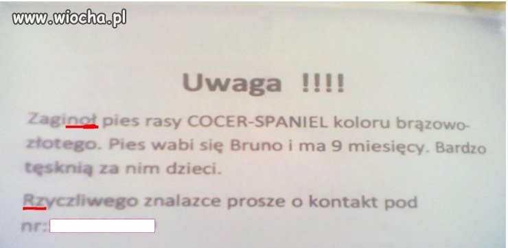 ORTOGRAFIA?