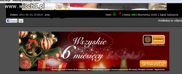 Ojczyzna - polszczyzna