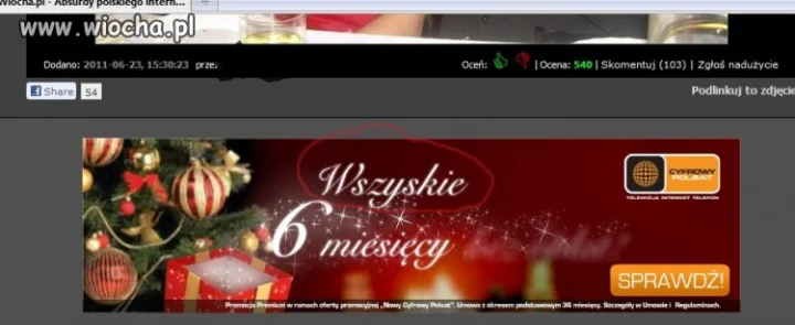 Ojczyzna - polszczyzna