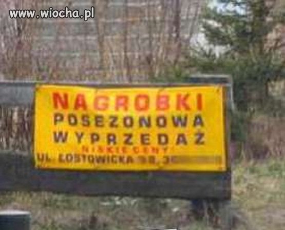 Promocja