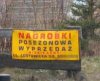 Promocja