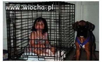 Nie ma to jak kochani rodzice 