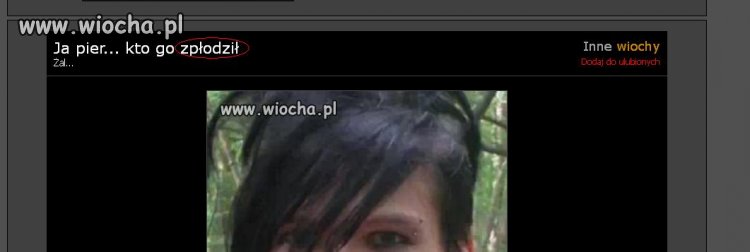 Wiocha na wiocha.pl