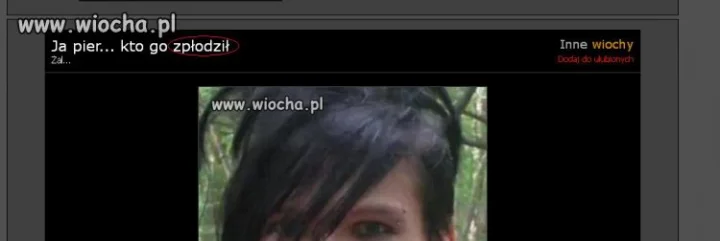Wiocha na wiocha.pl