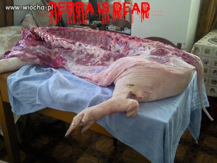 Święta tuż tuż...