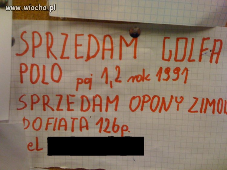 Golf czy Polo??