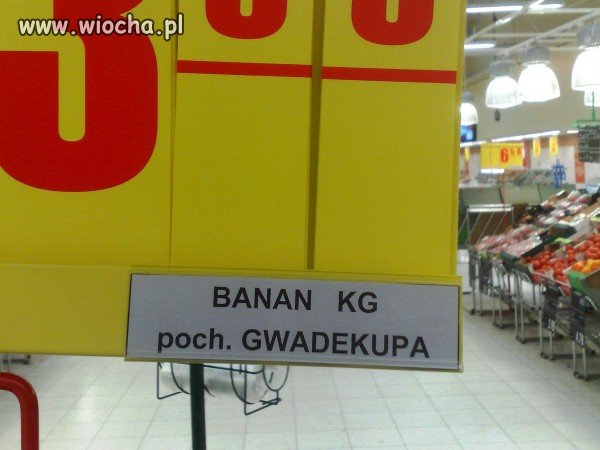 Biedronka 