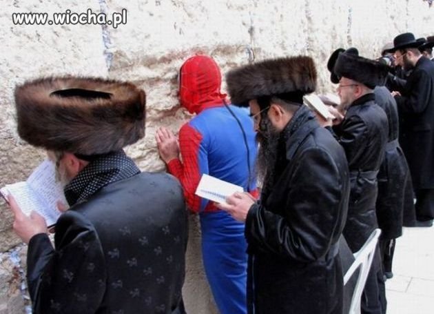Spiderman