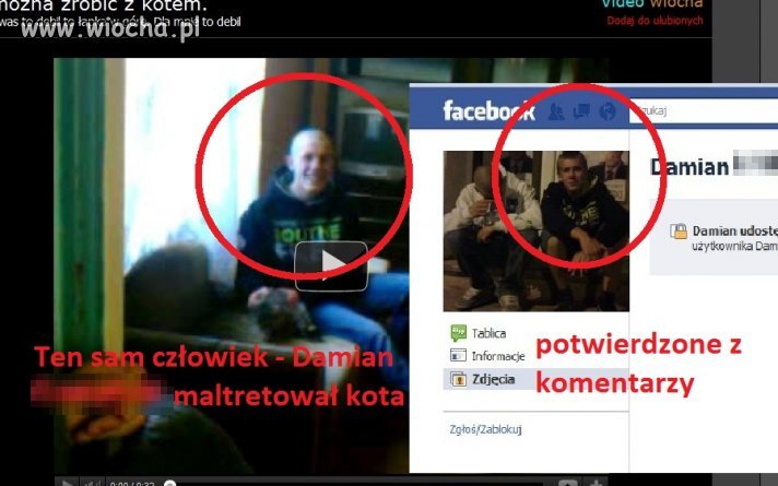 Kto maltretował kociaka?