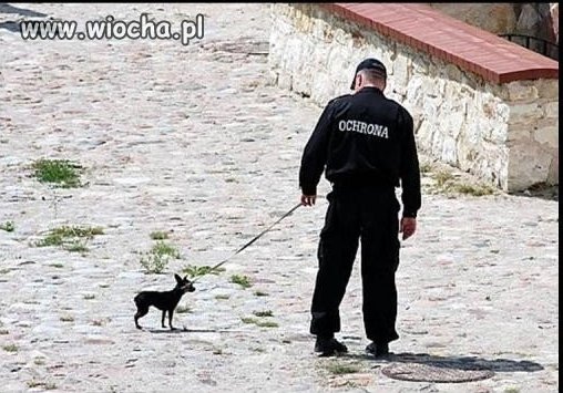Ludzie trzęście gaciami