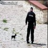 Ludzie trzęście gaciami