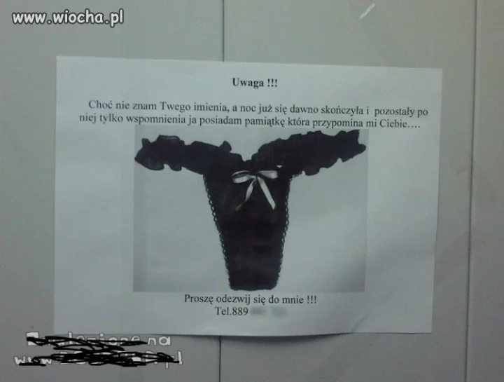 W poszukiwaniu...