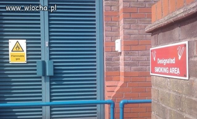 Myślenie ma przyszłość...