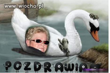 Wiocha na NK