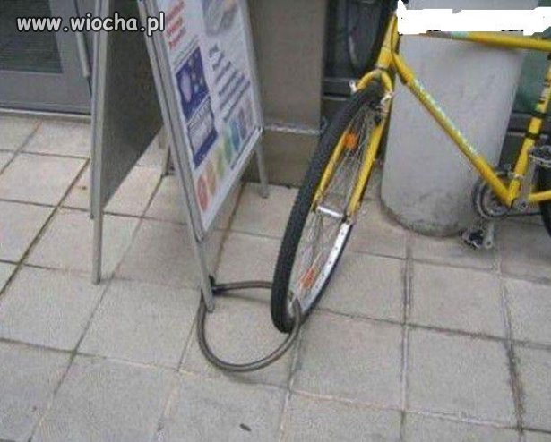 Głupota nie zna granic
