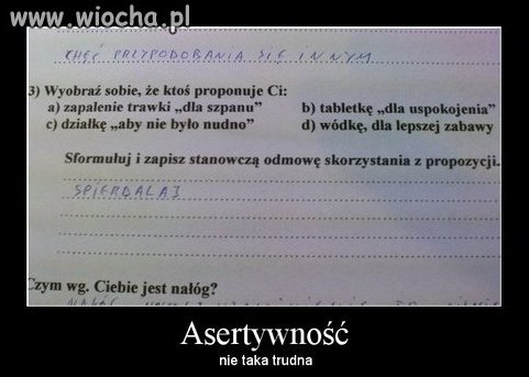 Ankieta