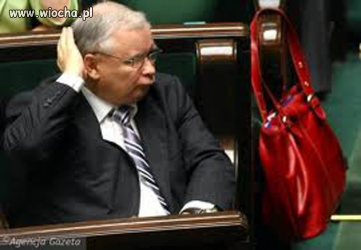 Najlepszy dzióbek w necie