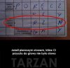 Komu wyszedł MURZYN