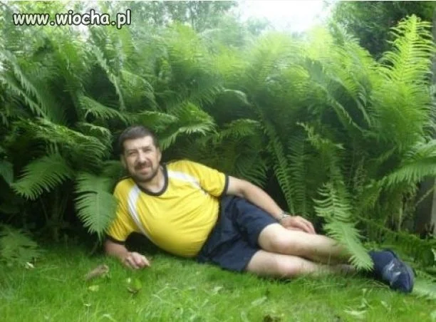 Oj jak dobrze..