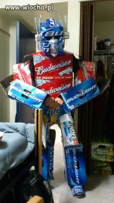 Transformers po piwie