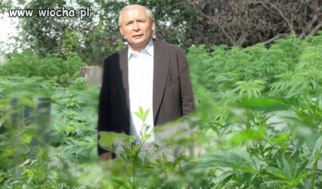 Kolejny mistrz painta. Tym razem nawet sie udało