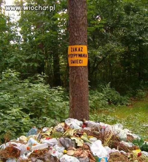 Bezczelność ludzka nie ma granic....