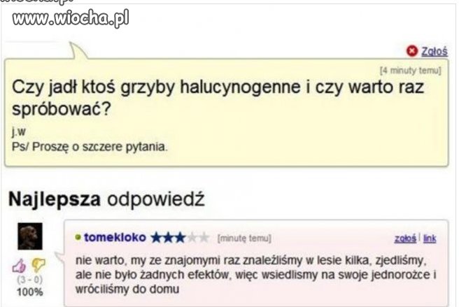 Grzybki