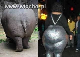 Hahaha...
