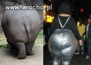 Hahaha...
