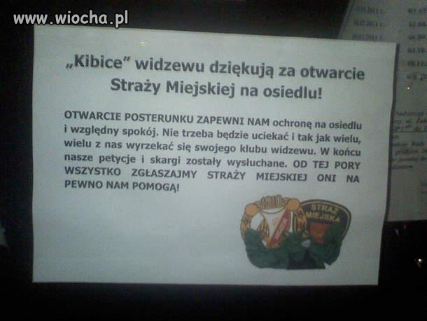 Kibice