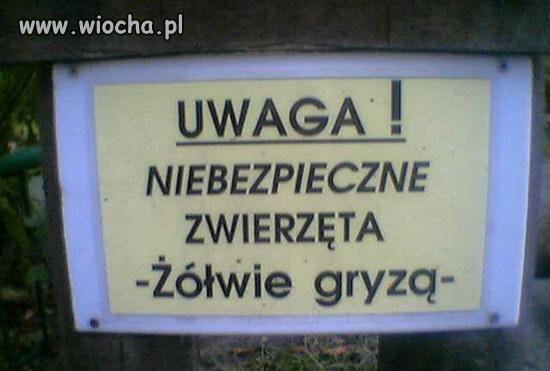 Ciekawe 