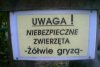 Ciekawe 